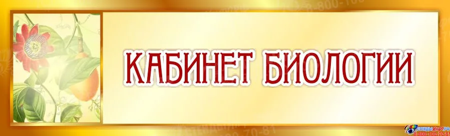 Изображения кабинета.